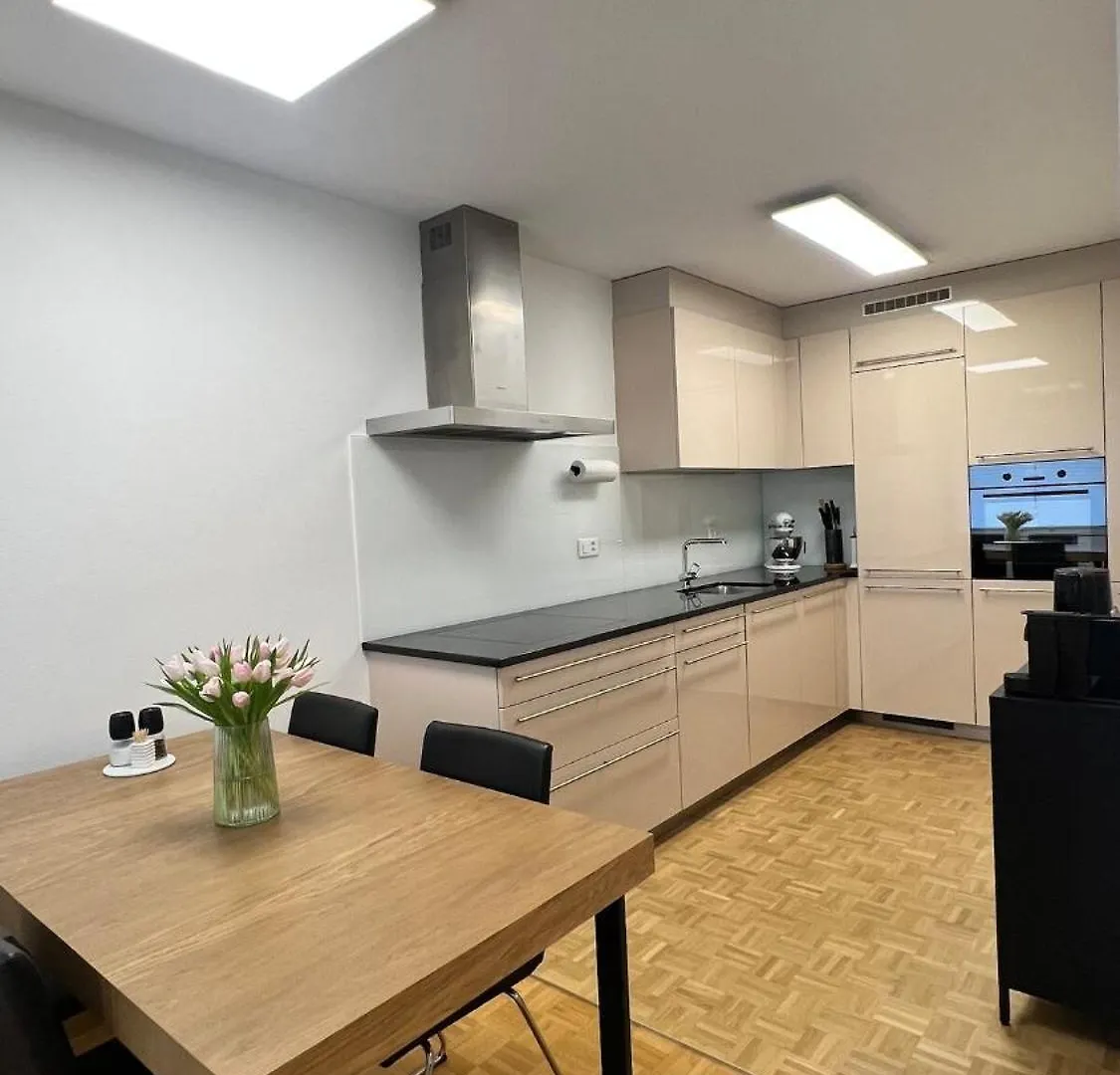 Modern Apartment In Bázel Svájc