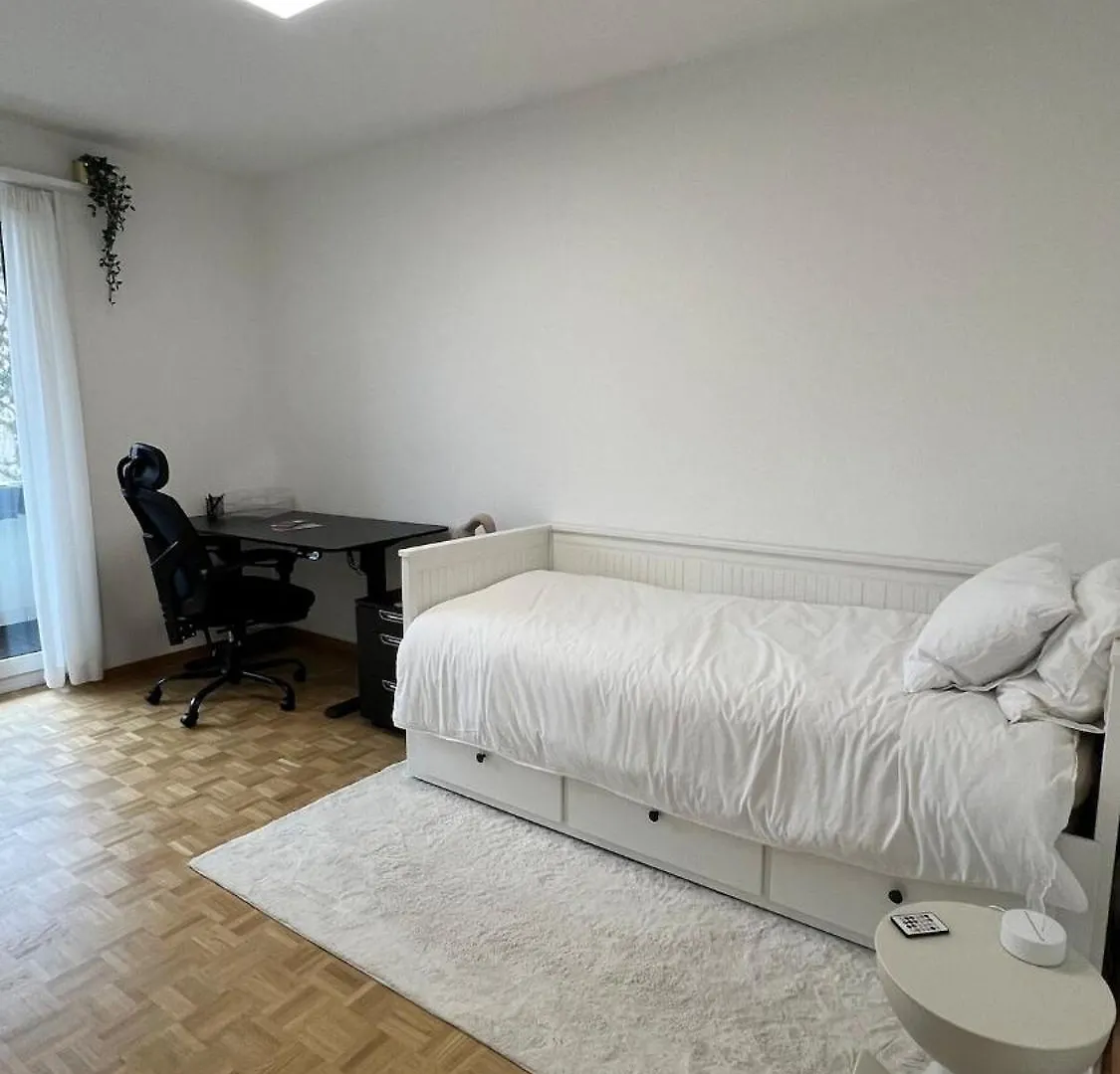 Modern Apartment In Bázel