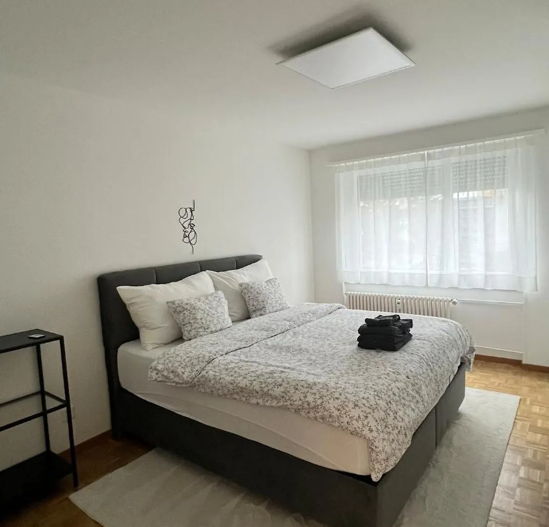 Modern Apartment In Bázel