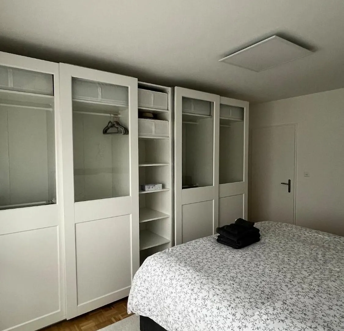 Modern Apartment In Bázel