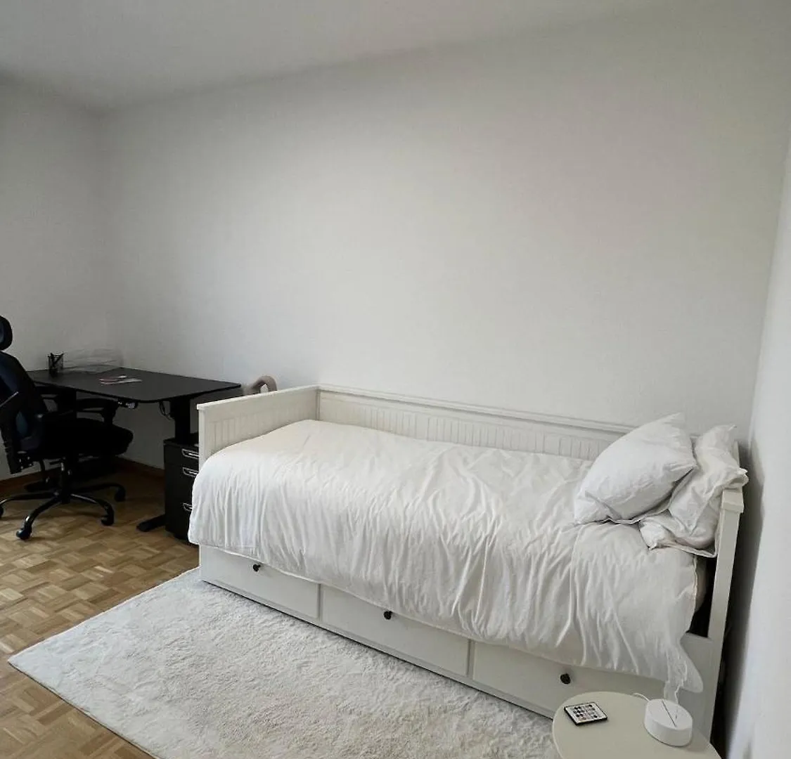 Modern Apartment In Basel